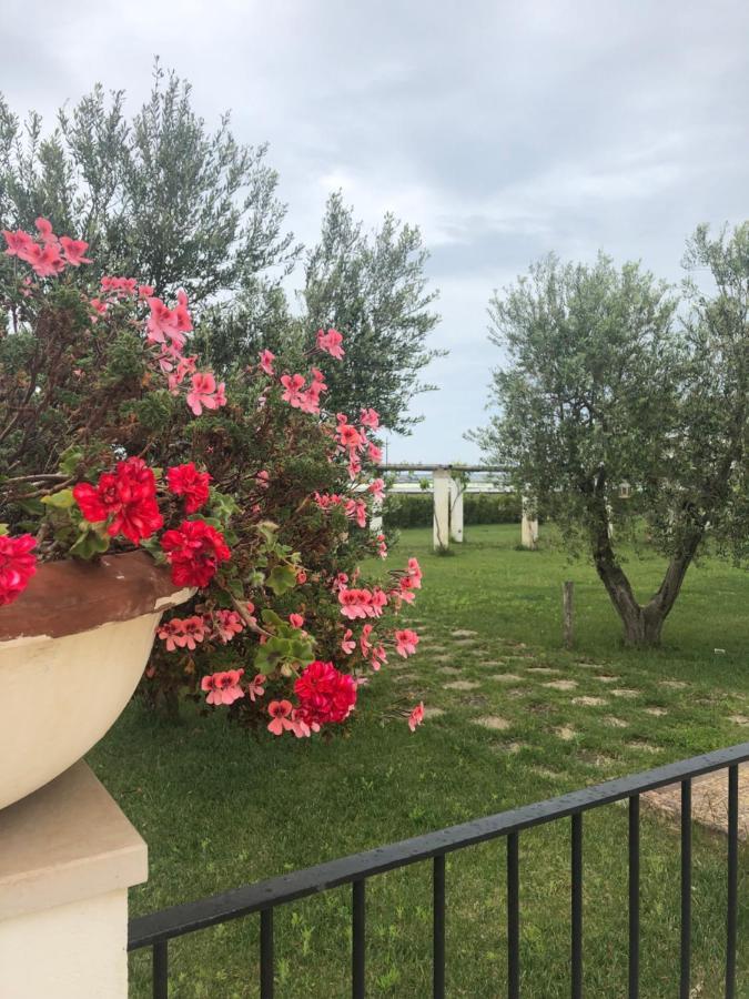 Tenuta Orsanese Marina di Ginosa Exteriér fotografie