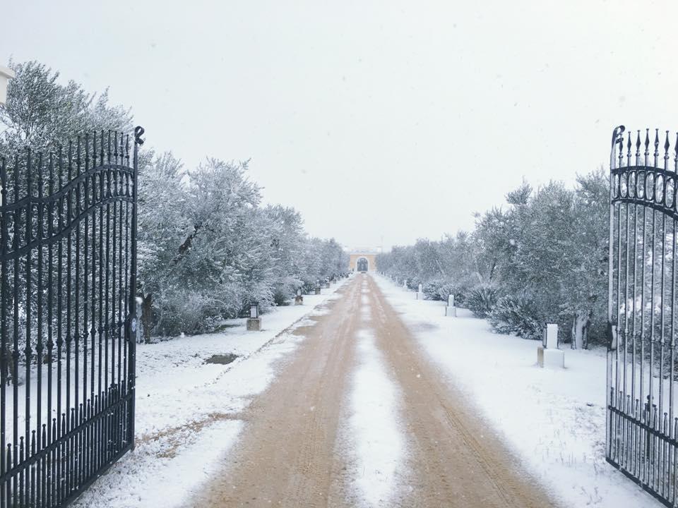 Tenuta Orsanese Marina di Ginosa Exteriér fotografie